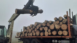 Pine Wood (Radiata and Patula Pine)