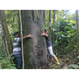 Ecuadorian Hardwood Flooring